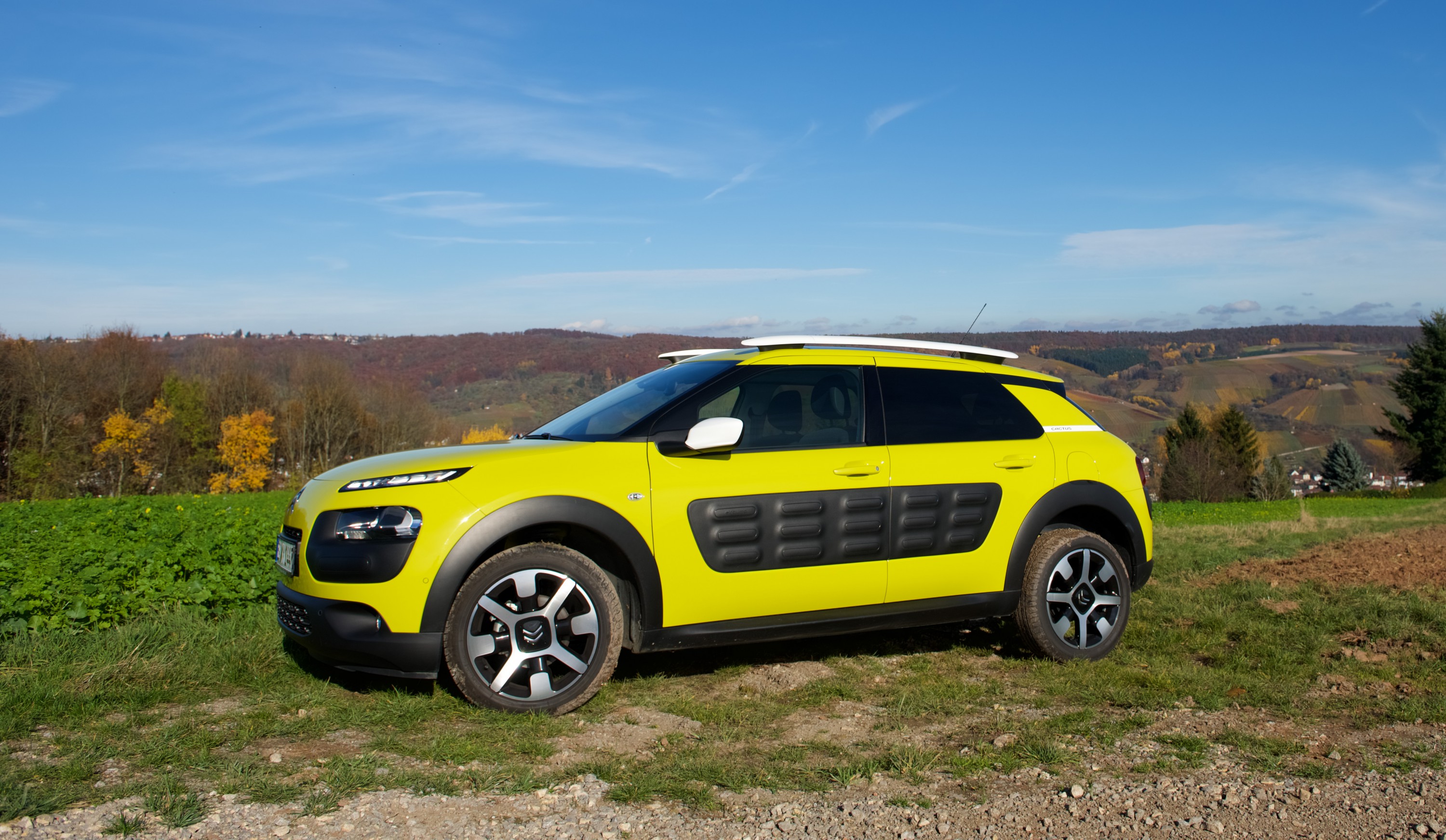 Citroenchen in den Weinbergen