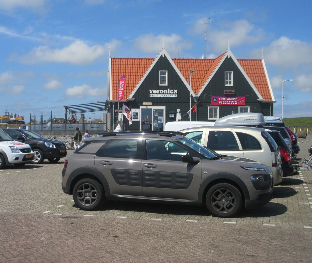 Cactus im Hafen von Oudeschild, Texel