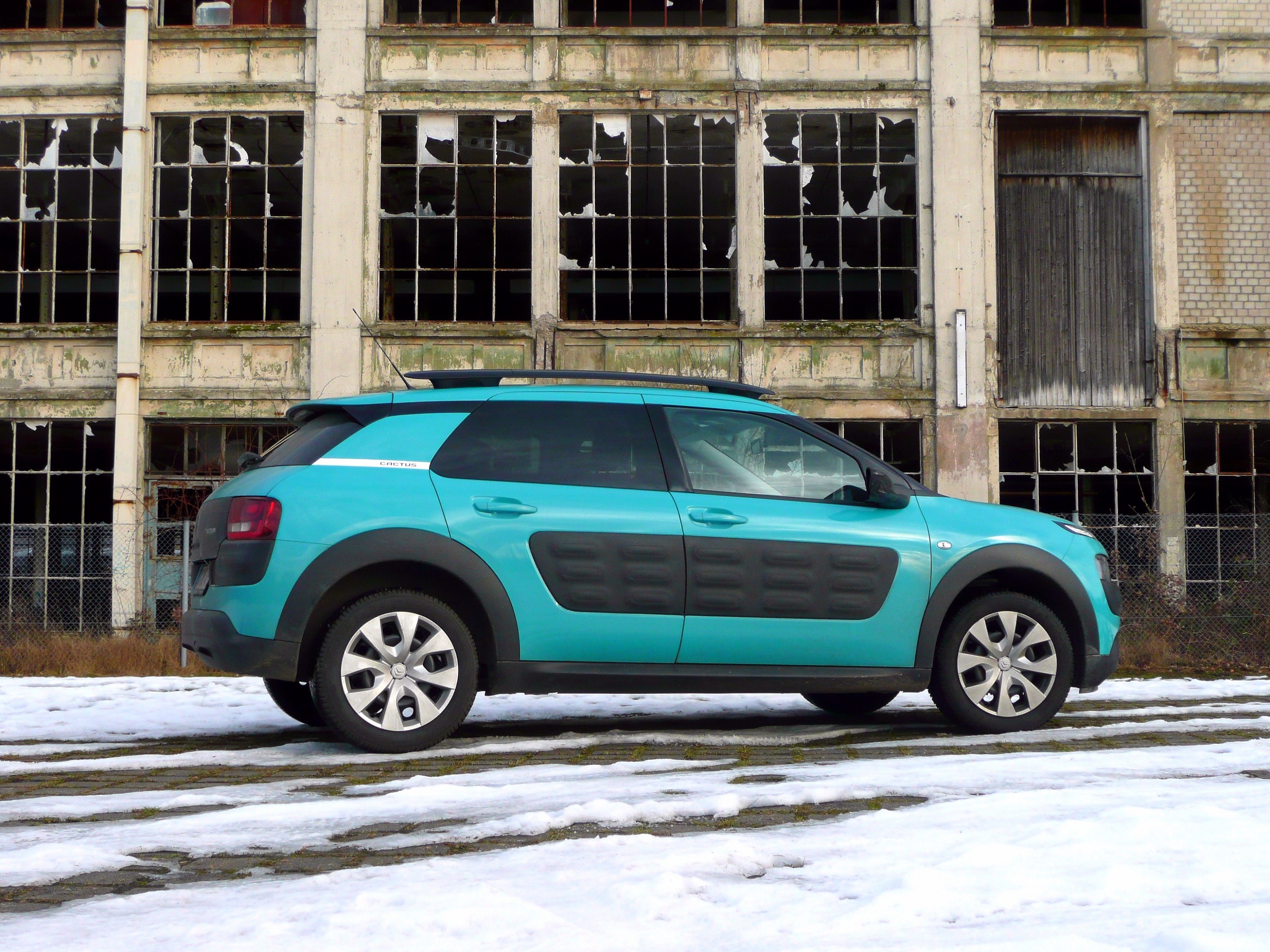 C4 Cactus vor "Weißer Dame"