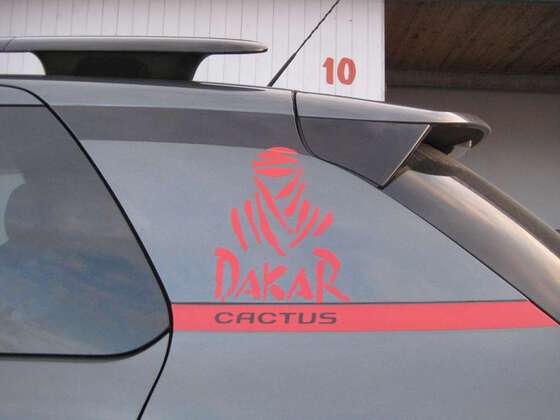 Mein Cactus hat einen neuen Namen: Dakar Cactus!!