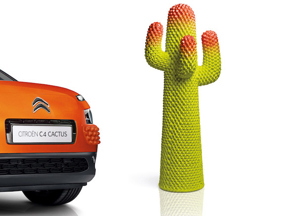 Cactus mit Stacheln