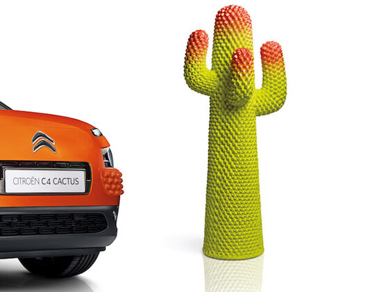 Cactus mit Stacheln