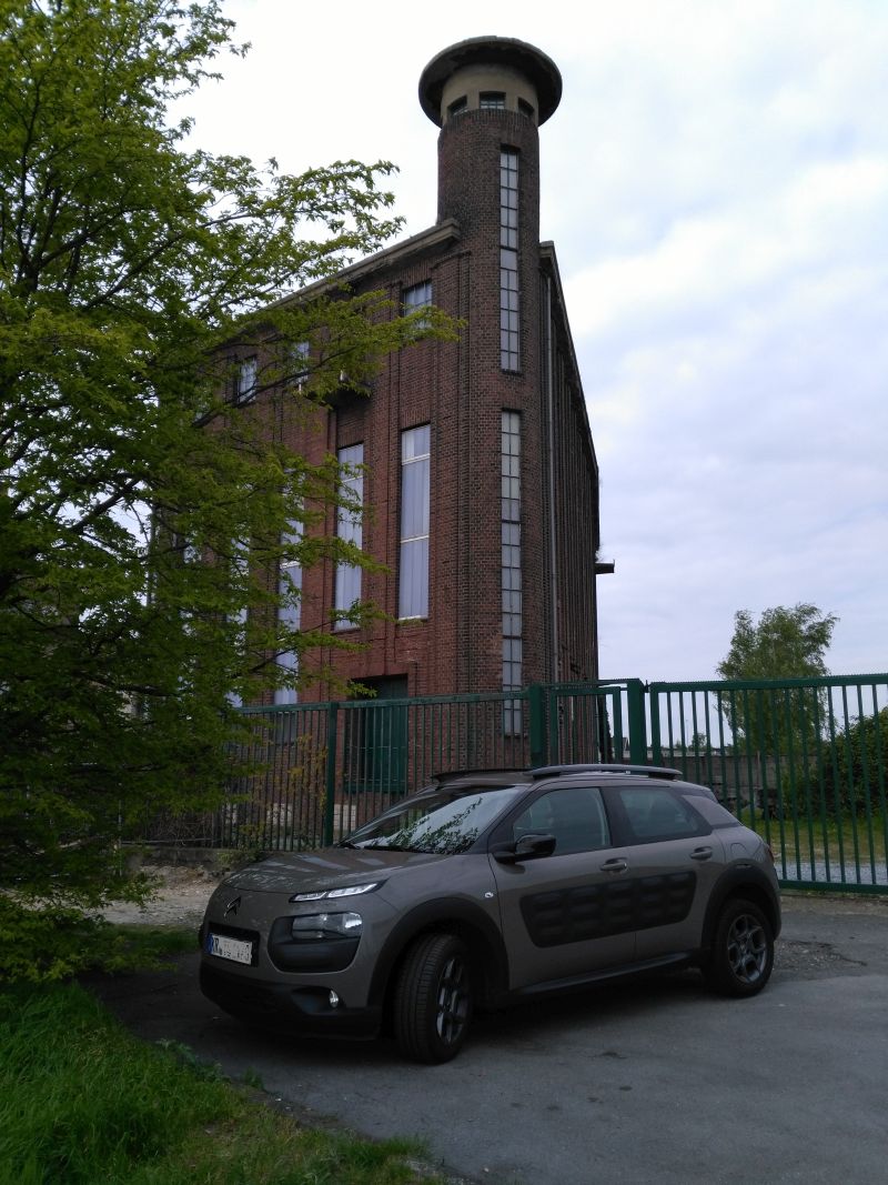 Cactus meets Industrie-Architektur