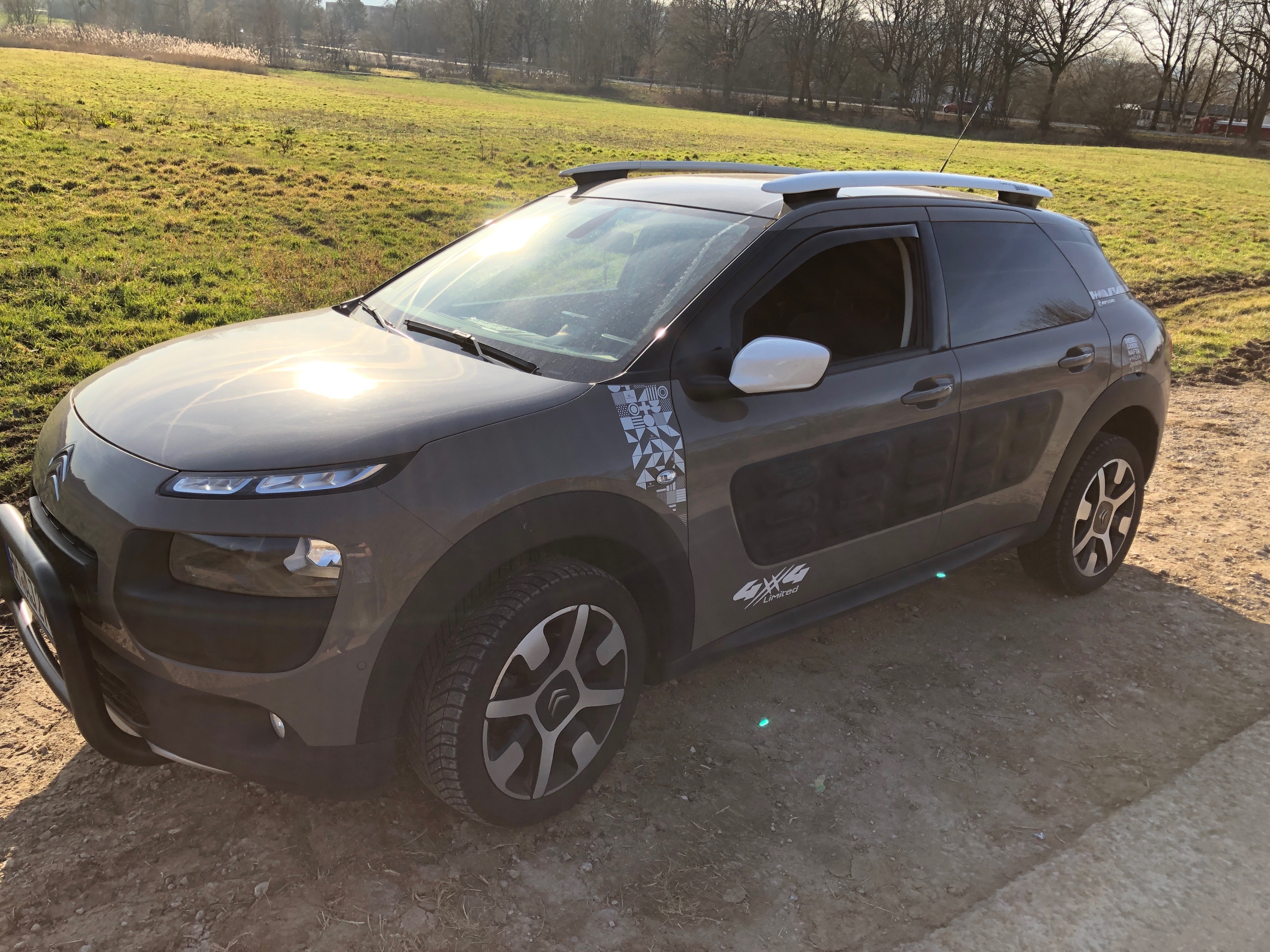 Offroad Cactus
