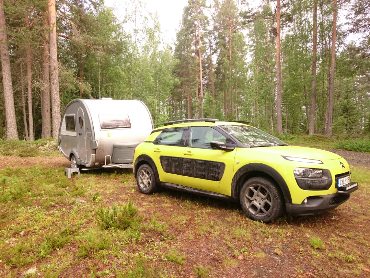 GUTEN MORGEN IM WALD, SCHWEDEN