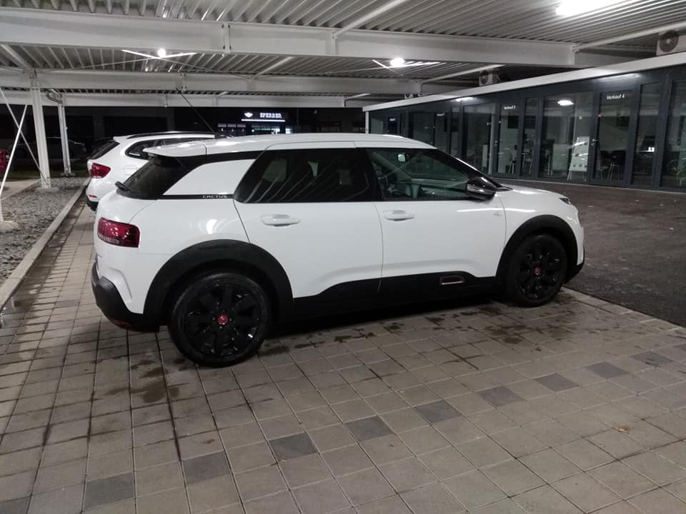 Citroen C4 Cactus Origins